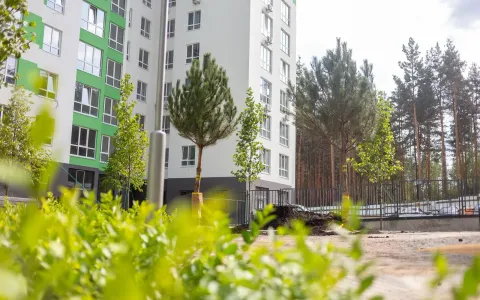 Створюємо справжній двір-парк для мешканців ЖК City Park